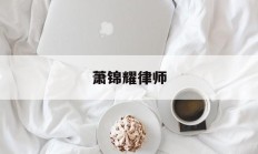 萧锦耀律师(萧锦耀律师的背景故事)