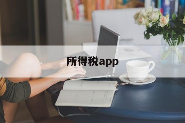 所得税app(中国税务个人所得税app)